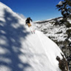 Meet your Posher, Cat